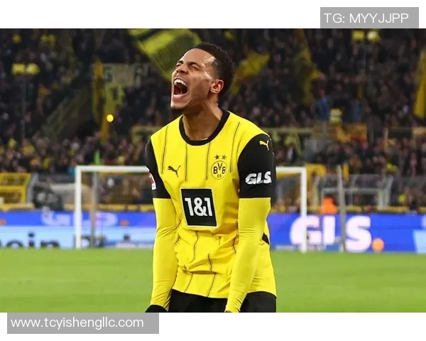 德甲焦点战：多特蒙德大胜拜仁全场沸腾战术解析揭秘