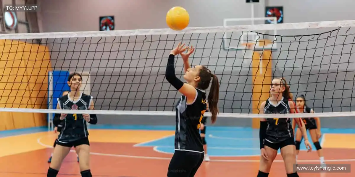 🏆 从看台到赛场，你的每一步都是传奇！🏃♂️